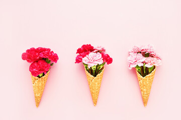 Three waffle ice cream cones with pink carnation flowers on pink background. Top view, copy space for text