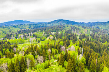 Beautiful mountain of Ravna gora, Gorski kotar, Croatia, panoramic view from drone in spring, mountain landscape in background