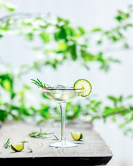 alcoholic cocktail with lime on a table and background with green branches