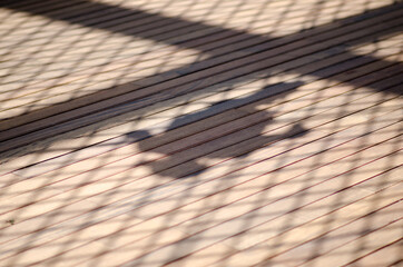 Human figure with a person in the shade with a net and grid. expo building with a floor that allows...