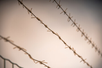 three rows of barbed wire with spikes against the sky. protection of private property and protected object. prison. aviary