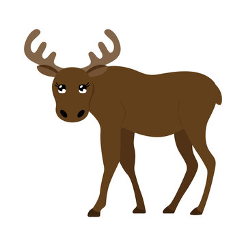 Vector illustration of a cute moose. Simple, flat style.