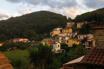 nature around the elba island