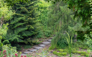 path in a beautiful forest landscape in Europe 