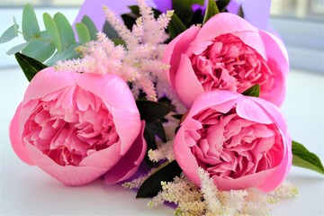 A beautiful bouquet of large pink peonies (focus on flowers), decorative grass and fragments of purple packaging. In daylight