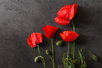 Beautiful red poppy flowers on grey stone background, flat lay