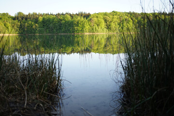 Crystal clear Peetschsee located in Stechlin conservation area, Brandenburg Germany           