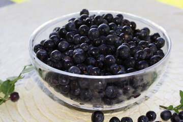 forest Northern berry blueberry lies in a transparent plate on a light wicker background