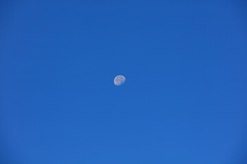 moon in the sky