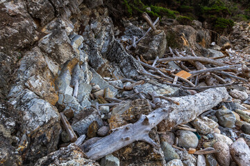 nature around the elba island