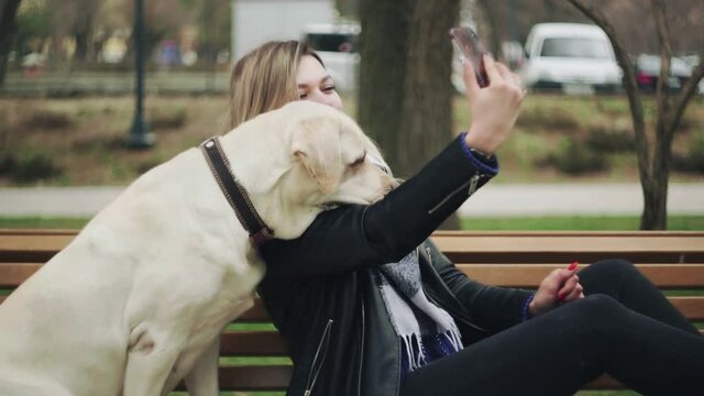 Young woman with retriever labrador dog doing selfie on bench in park.