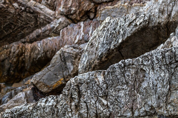 nature around the elba island