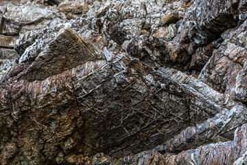 nature around the elba island