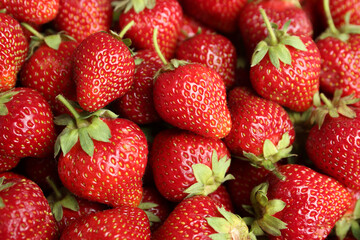 Many tasty ripe strawberries as background, closeup