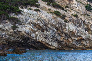 nature around the elba island