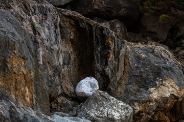 nature around the elba island