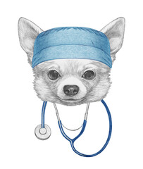 Portrait of  Chihuahua with doctor cap and stethoscope. Hand-drawn illustration.