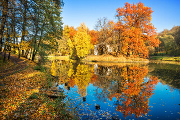 Obraz premium Big red oak and arch on the island with reflection in the pond in Tsaritsyno park in Moscow