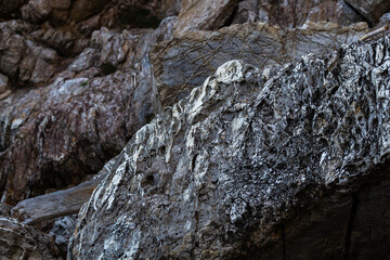 nature around the elba island