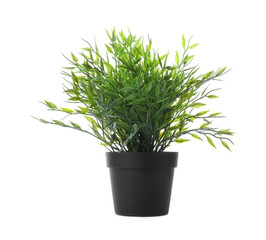 Beautiful artificial plant in flower pot isolated on white
