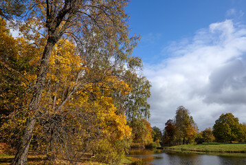 Autumn. Park. In the foreground, you can see trees with bright yellow leaves and a pond. Blue sky with soft, white clouds.