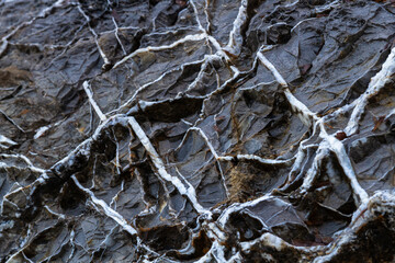 nature around the elba island