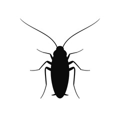 Cockroach silhouette. Isolated cockroach on white background