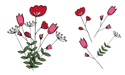 Bouquet of Wildflowers on a white background. Botanical Dudling. Hand drawing style. Red and pink flowers. Vector stock illustration. Holiday card.