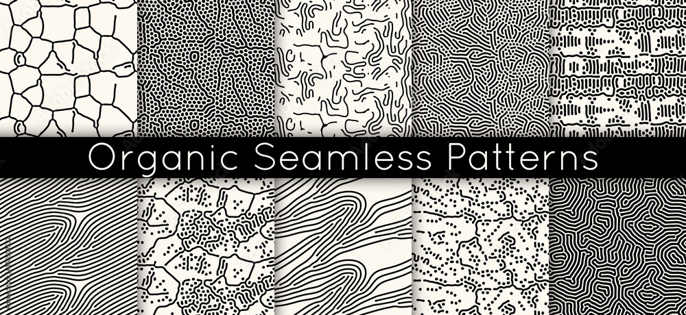 Wall mural set of 10 seamless vector abstract pattern with lines and dots in monochrome. background of repeatab