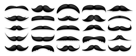 Mustache collection. Vintage moustache isolated on white. Facial hair. Hipster beard. Vector illustration.