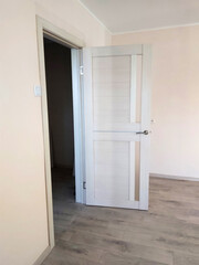 interior of a modern house, an empty room with a new door