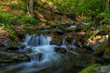 A mountain stream flowing through a landscape in a dense forest captured by long exposure time.