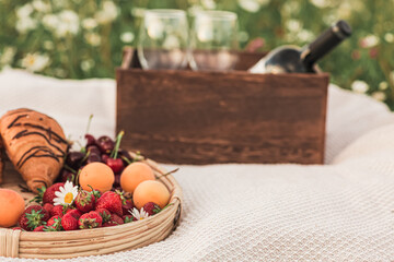 a tray with croissants, strawberries, cherries and apricots in the background is a box with a bottle of wine and two glasses. Picnic in the chamomile field