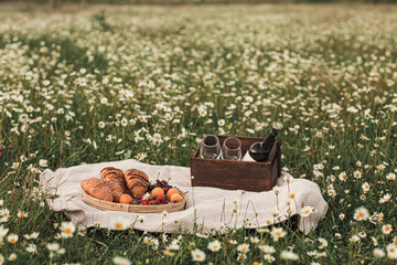 a tray with croissants, strawberries, cherries and apricots in the background is a box with a bottle of wine and two glasses. Picnic in the chamomile field