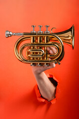 Hand showing a pocket trumpet a torn hole in red paper background