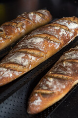 Homemade fresh sourdough bread and french baguette