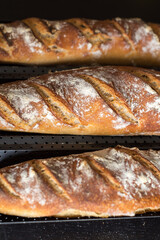 Homemade fresh sourdough bread and french baguette