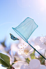 Bright net and beautiful butterfly against blossoming flowers outdoors on sunny day