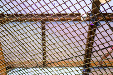 Human figure with a person in the shade with a net and grid. expo building with a floor that allows...