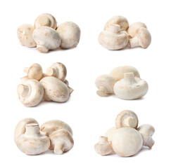 Fototapeta na wymiar Set with fresh champignon mushrooms on white background