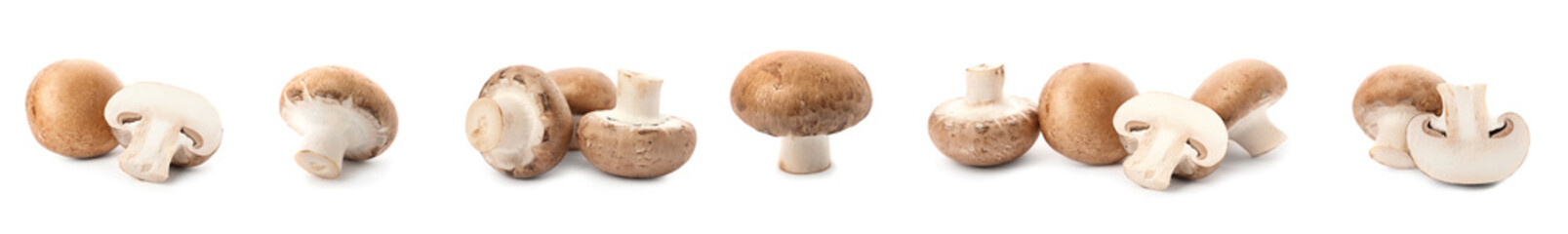 Set with fresh champignon mushrooms on white background, banner design