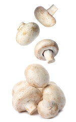Set with fresh champignon mushrooms falling on white background