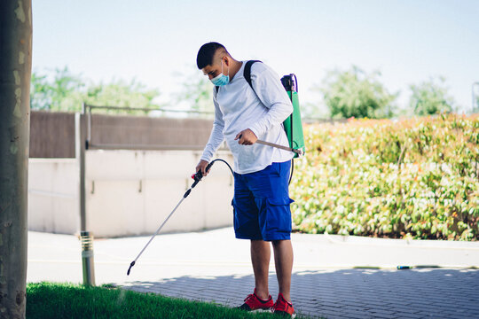 maintenance personnel spraying the lawn to avoid pests