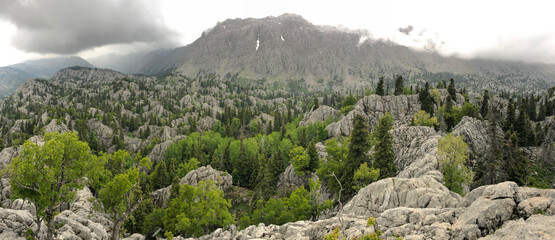 mountains with dangerous and risky wildlife areas