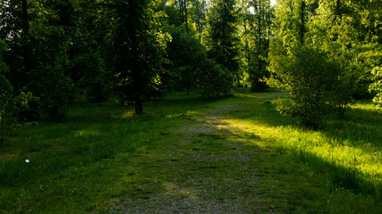 
Landscapes and views in the Botanical Garden in Radzionków. Ready for entry.
