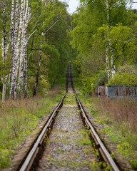 Obraz premium old railway in the summer forest