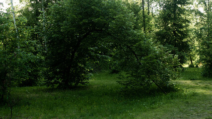 
Landscapes and views in the Botanical Garden in Radzionków. Ready for entry.