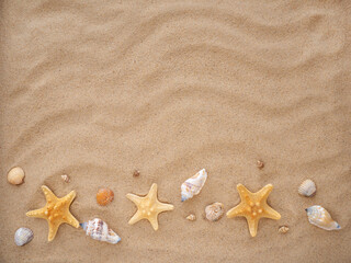 sea stars and shells lie on the sand. The concept of rest, sea, travel. Copy space