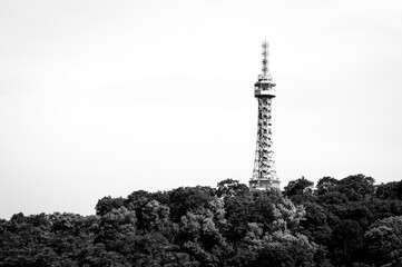 Tower forest