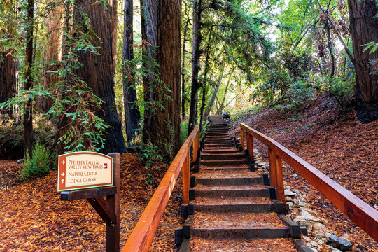 Pfeiffer Falls And Valley View Trails